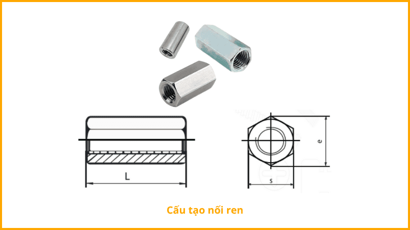 noi-ren-la-gi-cau-tao-va-chuc-nang-cua-noi-ren.png